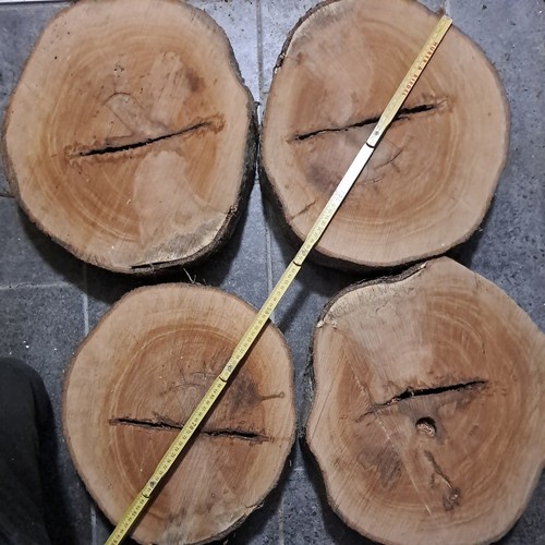 Holzscheibe buche tolle - holzscheibe, optik
